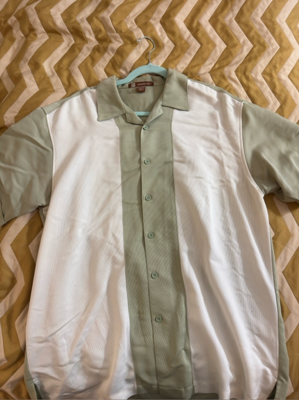 Men's Short-Sleeve Button-Down Shirt in Sage Green & White